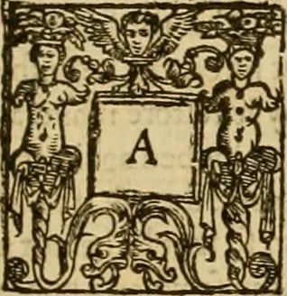 An illustration from Sermons of Master Iohn Caluin upon the booke of Iob, 1574, leaf 430