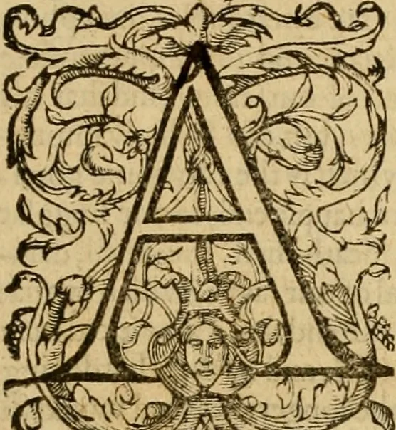 An illustration from Sermons of Master Iohn Caluin upon the booke of Iob, 1574, leaf 6