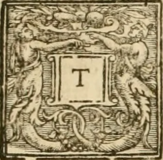 An illustration from Sermons of Master Iohn Caluin upon the booke of Iob, 1574, leaf 689