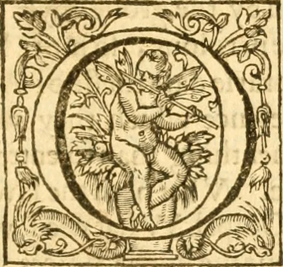 An illustration from Sermons of M. John Calvin upon the x. commandements of the lawe, given of God by Moses, otherwise called the Decalogue : gathered worde for worde, presently at his sermons, when hee preached on Deuteronomie ..., 1581, leaf 12