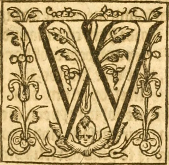 An illustration from Sermons of M. John Calvin upon the x. commandements of the lawe, given of God by Moses, otherwise called the Decalogue : gathered worde for worde, presently at his sermons, when hee preached on Deuteronomie ..., 1581, leaf 122