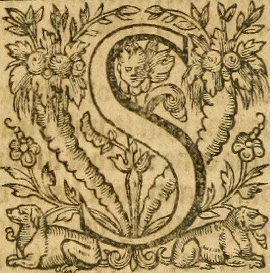 An illustration from Sermons of M. John Calvin upon the x. commandements of the lawe, given of God by Moses, otherwise called the Decalogue : gathered worde for worde, presently at his sermons, when hee preached on Deuteronomie ..., 1581, leaf 139