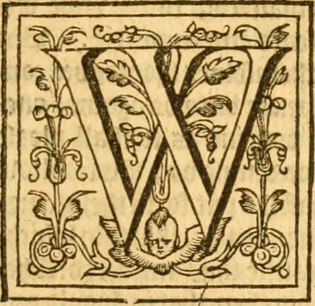 An illustration from Sermons of M. John Calvin upon the x. commandements of the lawe, given of God by Moses, otherwise called the Decalogue : gathered worde for worde, presently at his sermons, when hee preached on Deuteronomie ..., 1581, leaf 216