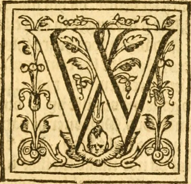 An illustration from Sermons of M. John Calvin upon the x. commandements of the lawe, given of God by Moses, otherwise called the Decalogue : gathered worde for worde, presently at his sermons, when hee preached on Deuteronomie ..., 1581, leaf 244