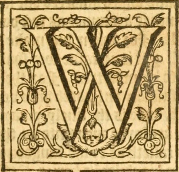 An illustration from Sermons of M. John Calvin upon the x. commandements of the lawe, given of God by Moses, otherwise called the Decalogue : gathered worde for worde, presently at his sermons, when hee preached on Deuteronomie ..., 1581, leaf 30