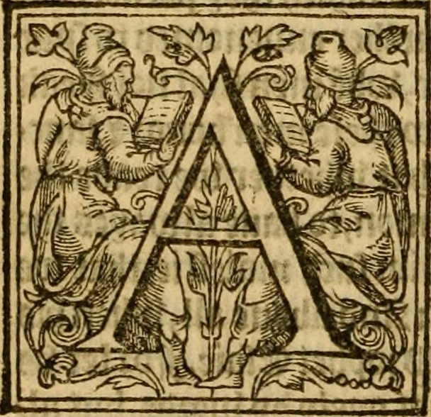 An illustration from Sermons of M. John Calvin upon the x. commandements of the lawe, given of God by Moses, otherwise called the Decalogue : gathered worde for worde, presently at his sermons, when hee preached on Deuteronomie ..., 1581, leaf 75