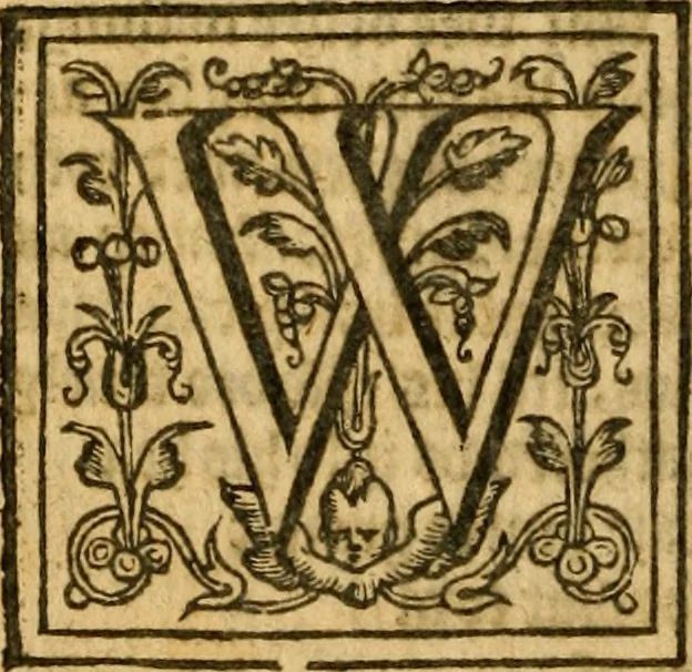 An illustration from Sermons of M. John Calvin upon the x. commandements of the lawe, given of God by Moses, otherwise called the Decalogue : gathered worde for worde, presently at his sermons, when hee preached on Deuteronomie ..., 1581, leaf 91