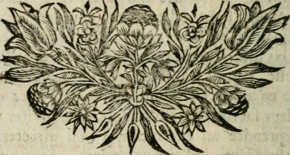 An illustration from Sermons prêchez devant son altesse roïale Madame la Duchesse d'Yorck, 1684, leaf 305