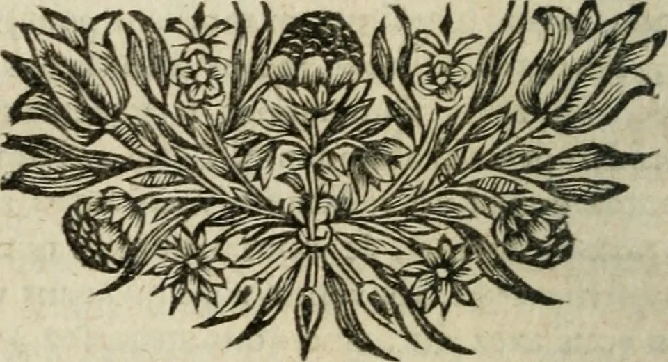 An illustration from Sermons prêchez devant son altesse roïale Madame la Duchesse d'Yorck, 1684, leaf 371