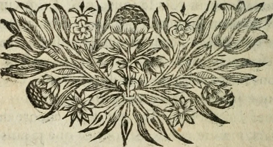 An illustration from Sermons prêchez devant son altesse roïale Madame la Duchesse d'Yorck, 1684, leaf 513