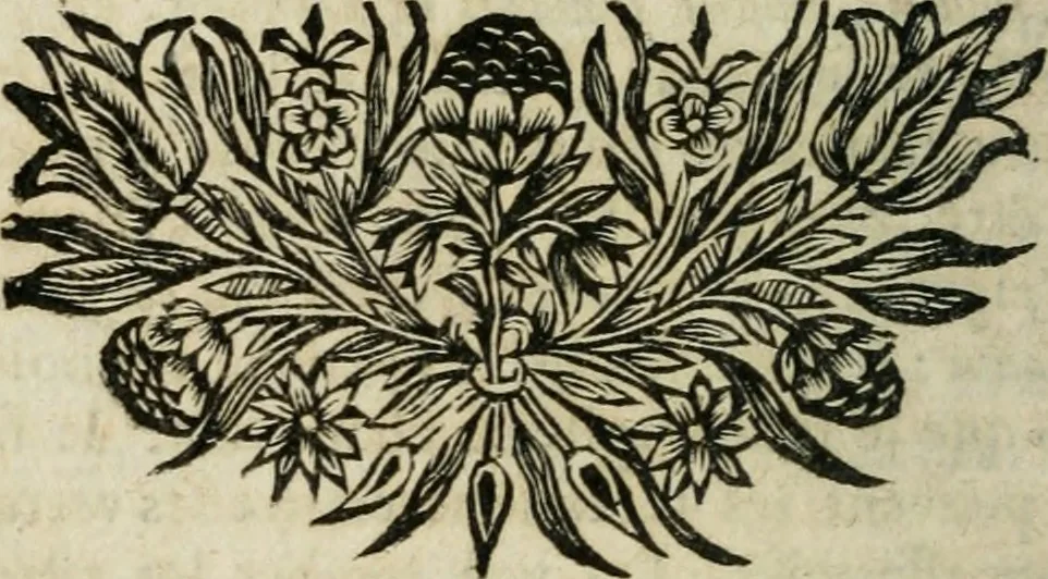 An illustration from Sermons prêchez devant son altesse roïale Madame la Duchesse d'Yorck, 1684, leaf 115