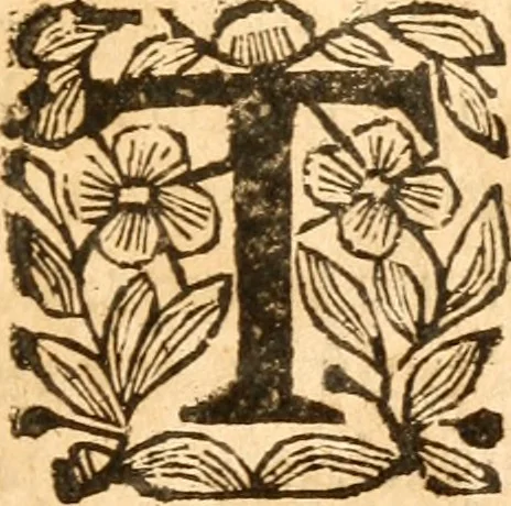 An illustration from Sermons sur divers textes de la Sainte Ecriture : prononcés en divers lieux, 1653, leaf 172