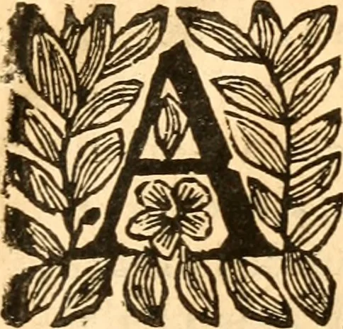 An illustration from Sermons sur divers textes de la Sainte Ecriture : prononcés en divers lieux, 1653, leaf 258