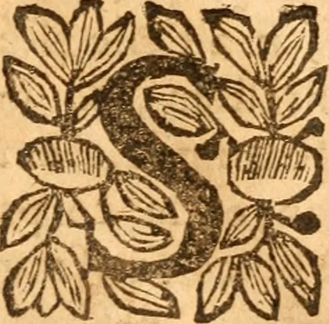 An illustration from Sermons sur divers textes de la Sainte Ecriture : prononcés en divers lieux, 1653, leaf 46