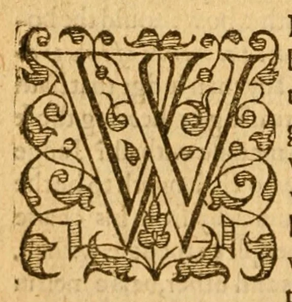 An illustration from Sermons upon the whole boke of the Revelation, 1599, leaf 30