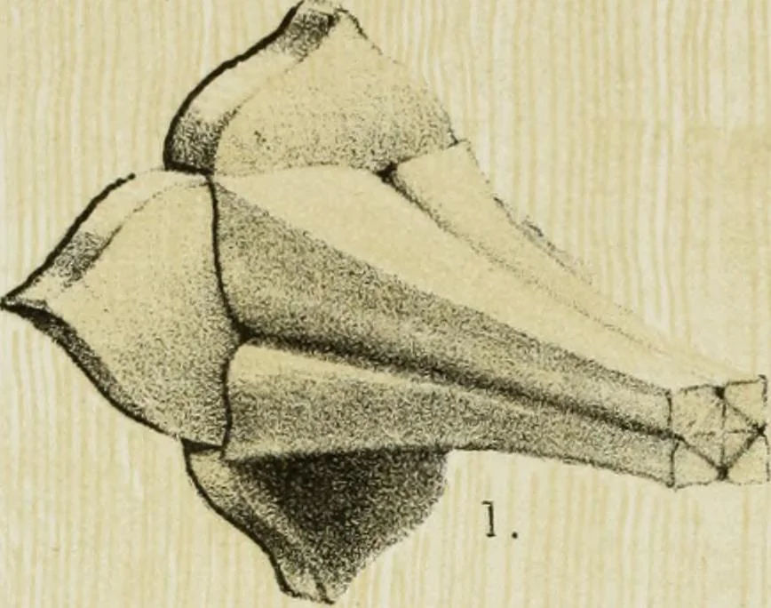 An illustration from Serrurerie du moyen-âge : les ferrures de portes, 1858, leaf 133