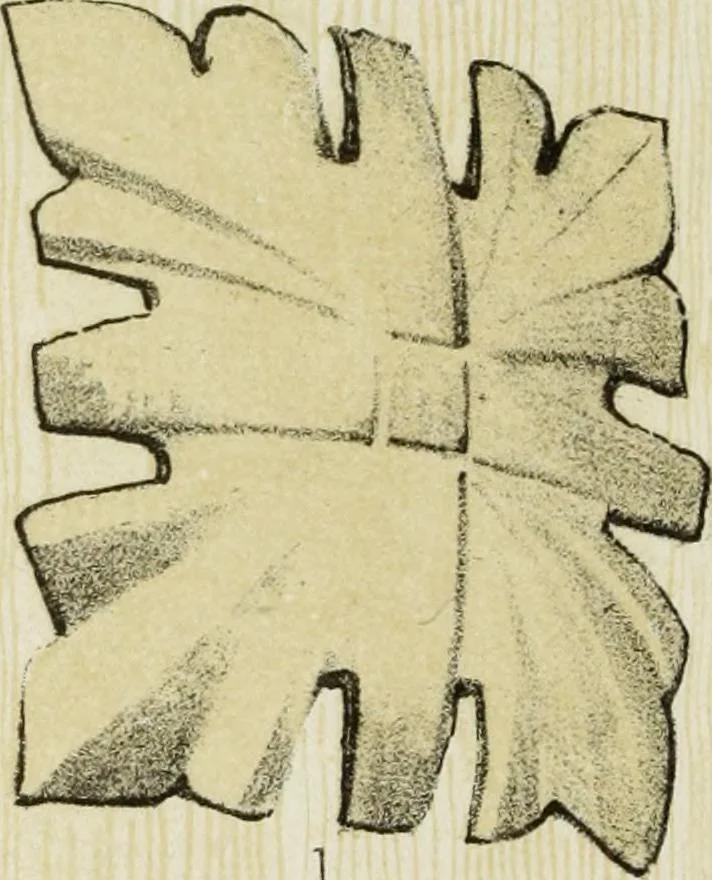 An illustration from Serrurerie du moyen-âge : les ferrures de portes, 1858, leaf 133