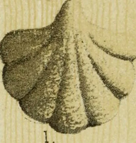 An illustration from Serrurerie du moyen-âge : les ferrures de portes, 1858, leaf 137