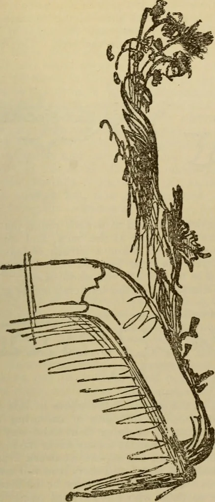 An illustration from Sesame & lilies, The two paths, & The king of the golden river, 1909, leaf 256