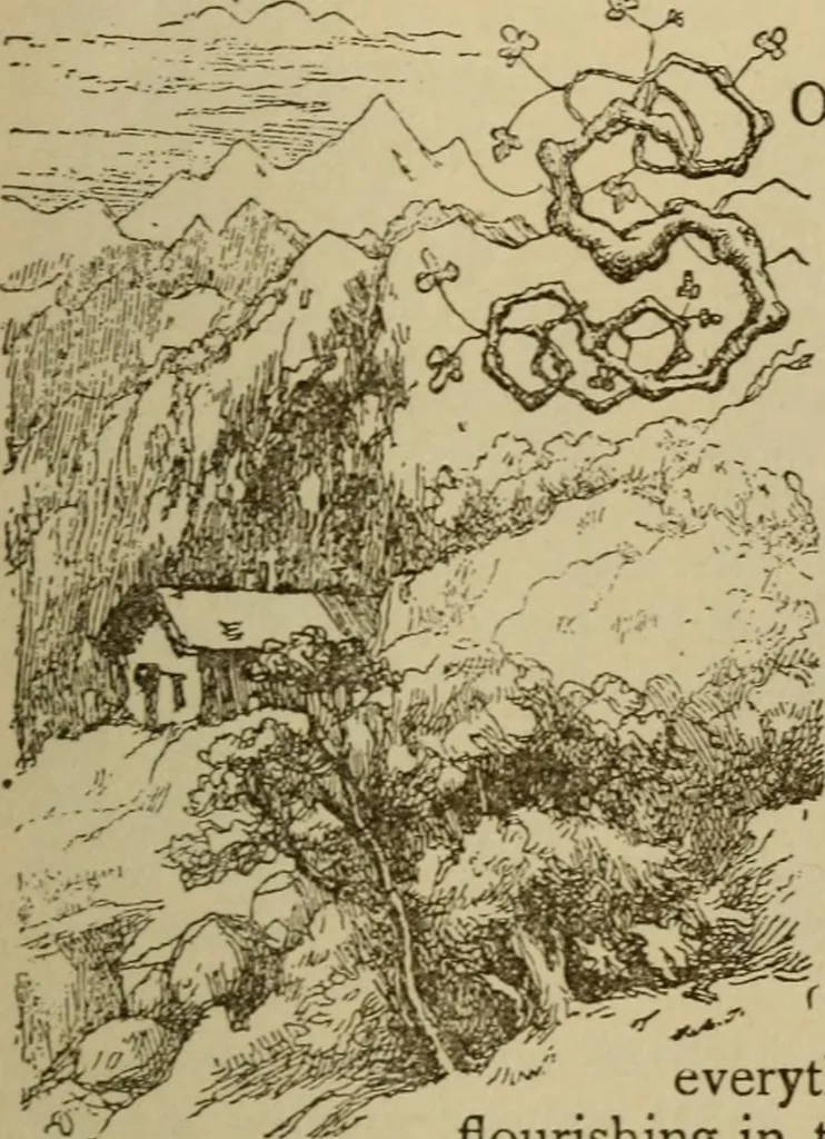 An illustration from Sesame & lilies, The two paths, & The king of the golden river, 1909, leaf 282