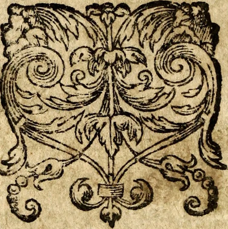 An illustration from Sessanta salmi di David : tradotti in rime volgari italiane, secondo la verità del testo hebreo, col cantico di Simeone, e i dieci comandamenti de la Legge : ogni cosa insieme col canto, 1566, leaf 13