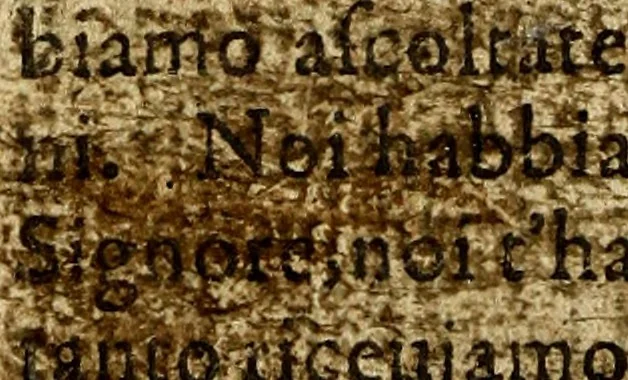 An illustration from Sessanta salmi di David : tradotti in rime volgari italiane, secondo la verità del testo hebreo, col cantico di Simeone, e i dieci comandamenti de la Legge : ogni cosa insieme col canto, 1566, leaf 203