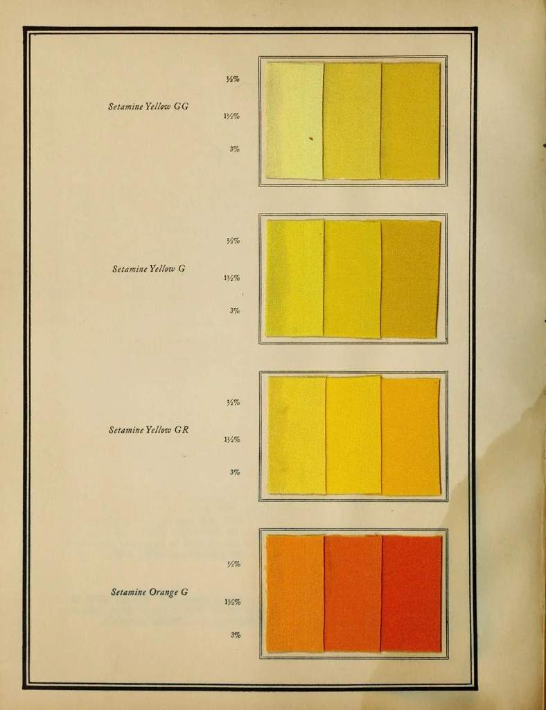 An illustration from Setamine colors : for tin-weighte silk, 1927, leaf 10