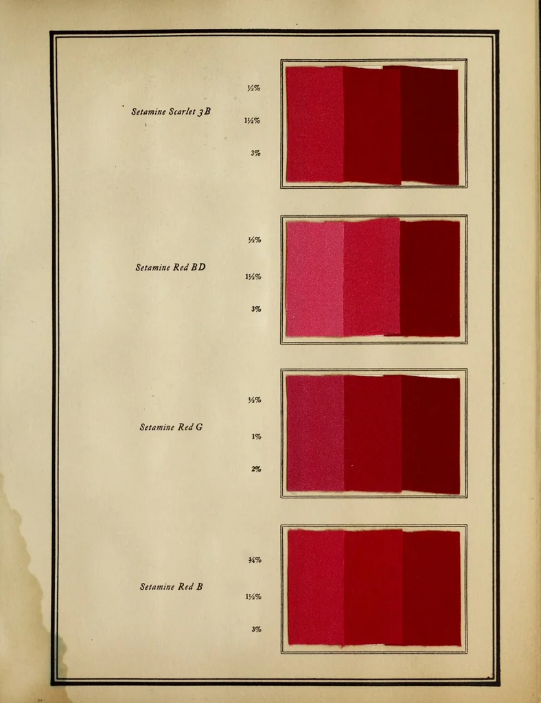 An illustration from Setamine colors : for tin-weighte silk, 1927, leaf 17