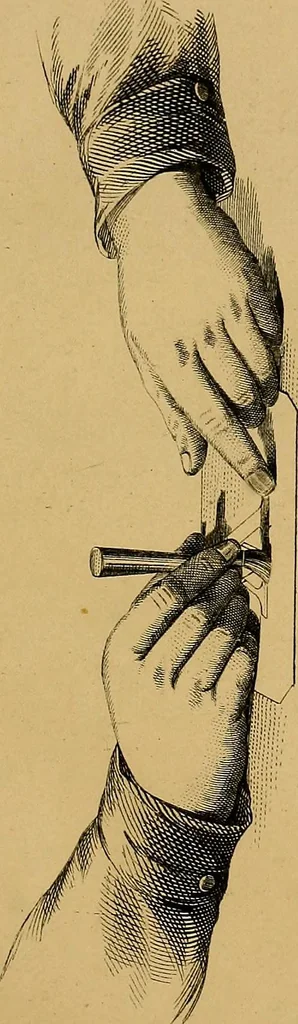 An illustration from A set of alphabets of all the various hands of modern use : with examples in each style, designed as a text book, 1877, leaf 102