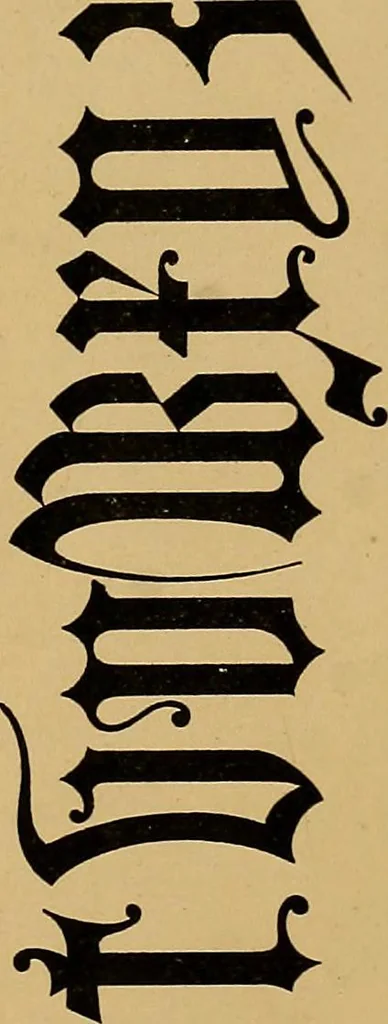 An illustration from A set of alphabets of all the various hands of modern use : with examples in each style, designed as a text book, 1877, leaf 66