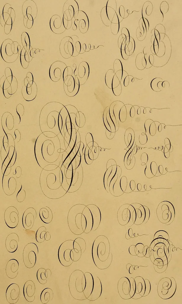 An illustration from A set of alphabets of all the various hands of modern use : with examples in each style, designed as a text book, 1877, leaf 82