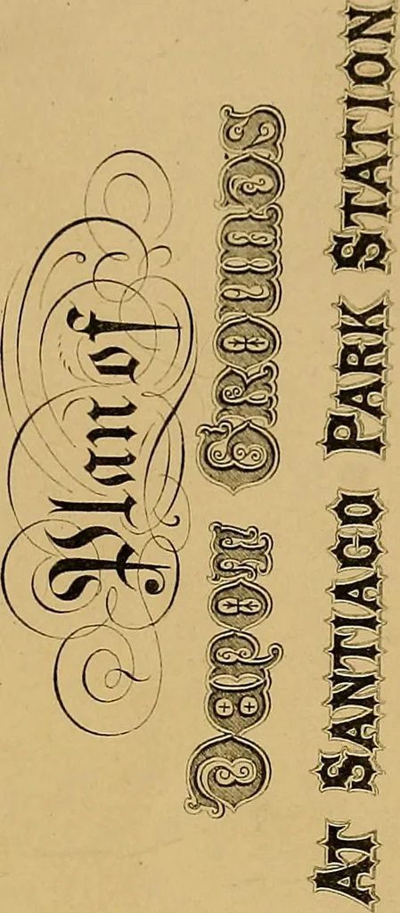 An illustration from A set of alphabets of all the various hands of modern use : with examples in each style, designed as a text book, 1877, leaf 96