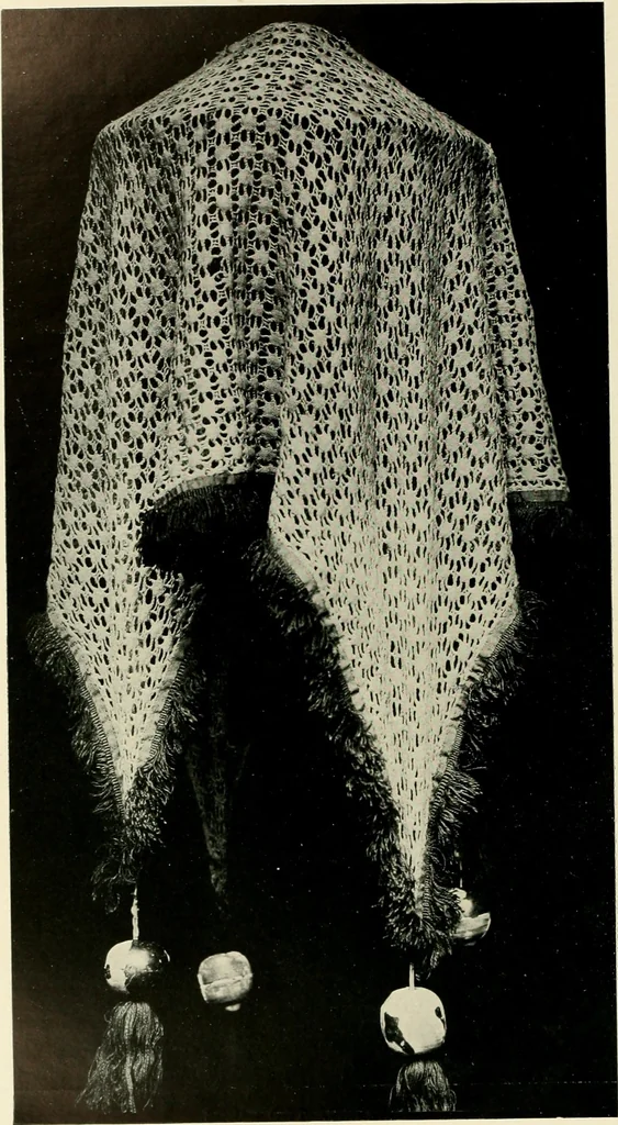 An illustration from Seven centuries of lace, 1908, leaf 101