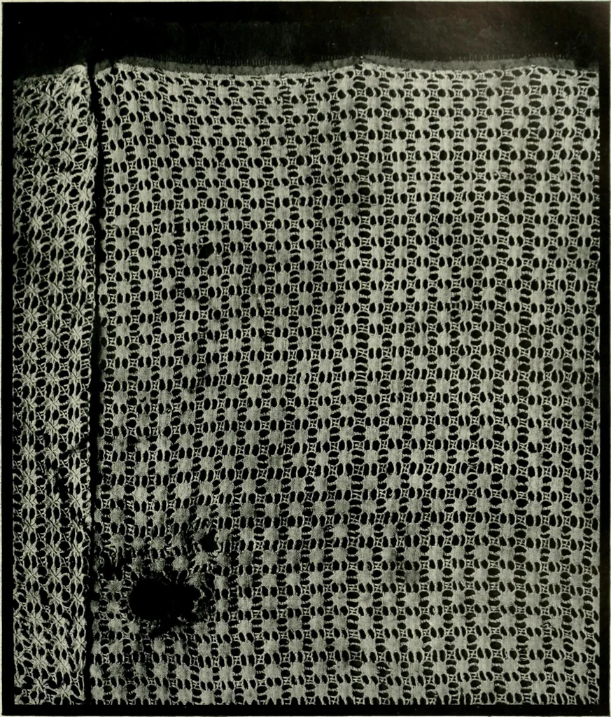 An illustration from Seven centuries of lace, 1908, leaf 102