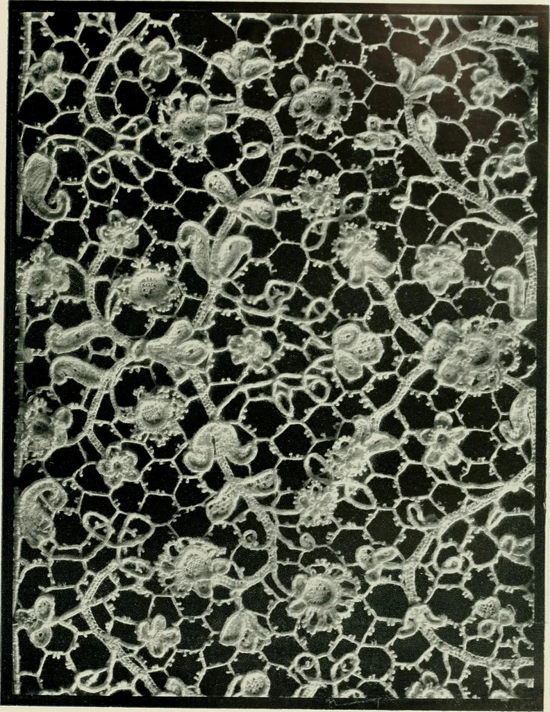 An illustration from Seven centuries of lace, 1908, leaf 124
