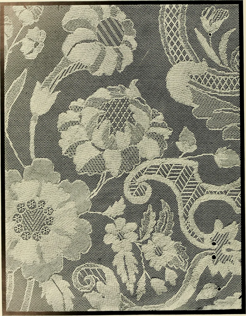 An illustration from Seven centuries of lace, 1908, leaf 149