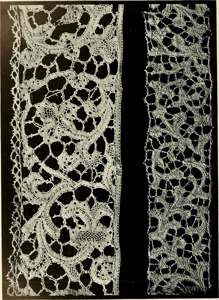 An illustration from Seven centuries of lace, 1908, leaf 165