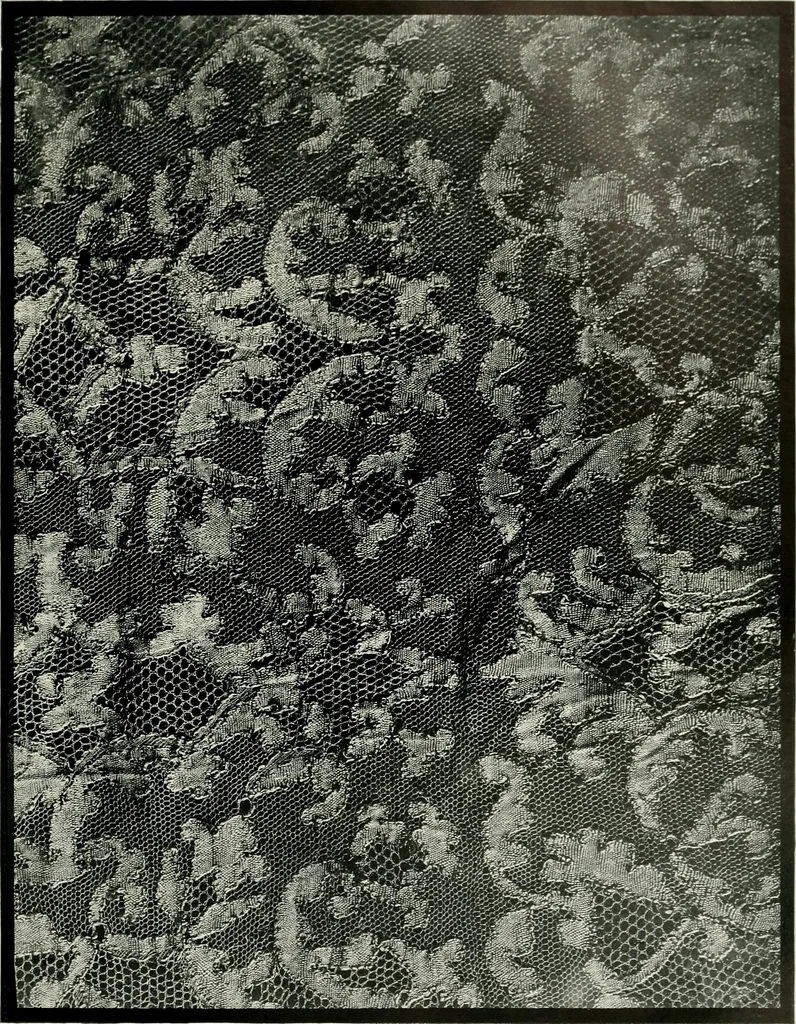 An illustration from Seven centuries of lace, 1908, leaf 188