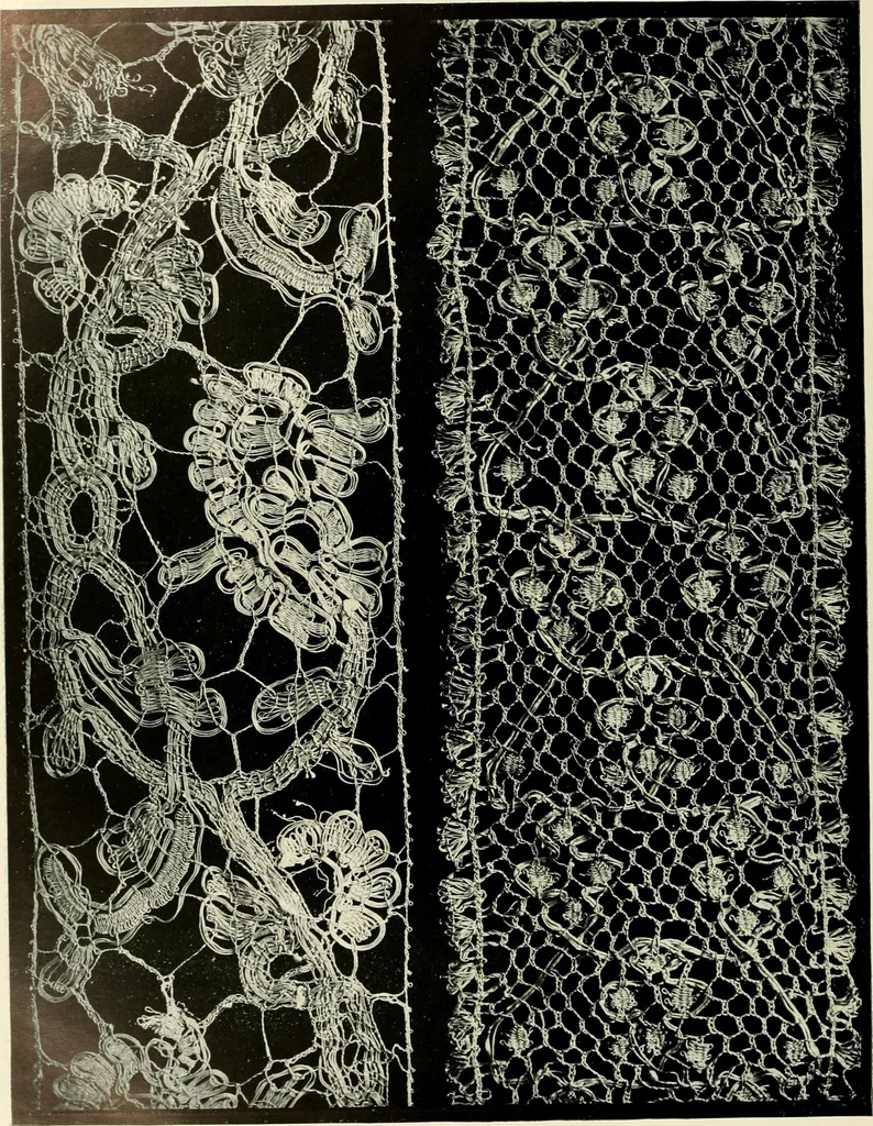 An illustration from Seven centuries of lace, 1908, leaf 189