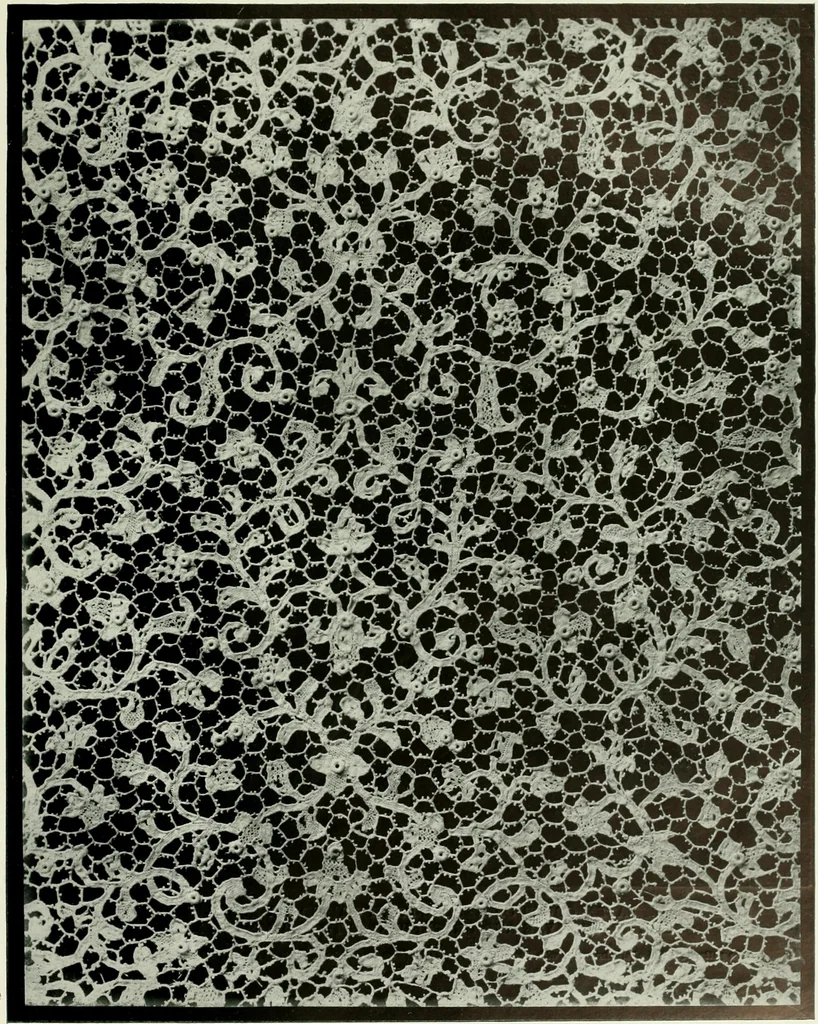 An illustration from Seven centuries of lace, 1908, leaf 124