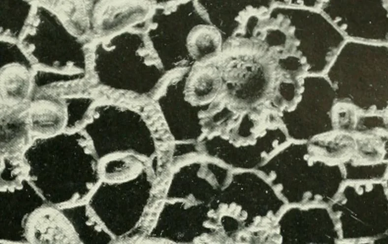 An illustration from Seven centuries of lace, 1908, leaf 126