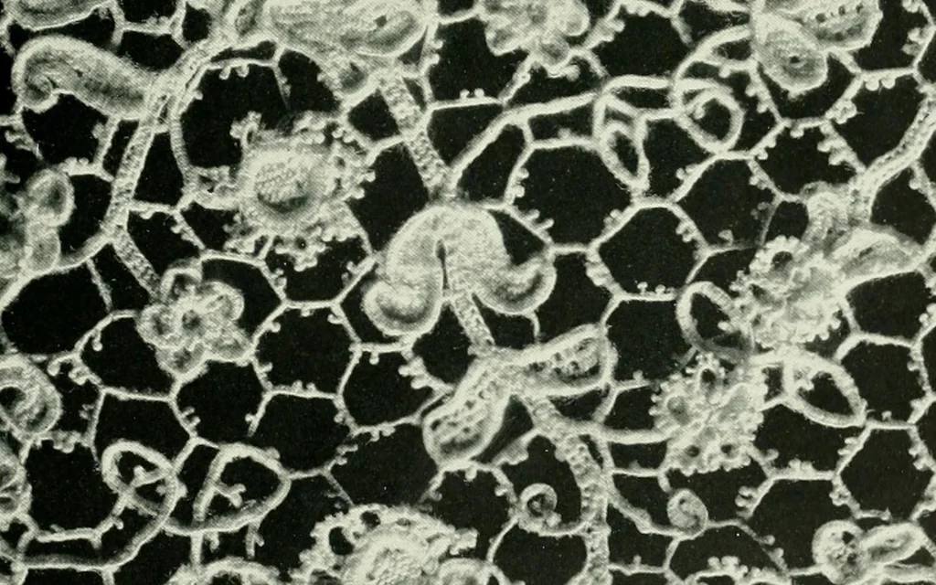 An illustration from Seven centuries of lace, 1908, leaf 126