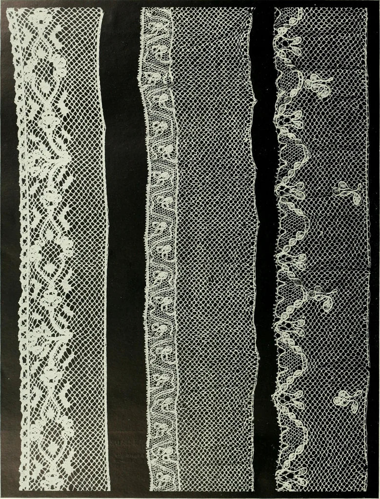 An illustration from Seven centuries of lace, 1908, leaf 189