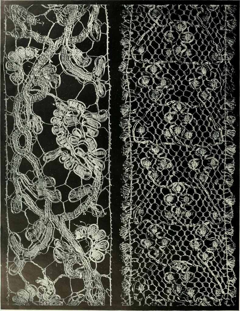 An illustration from Seven centuries of lace, 1908, leaf 191