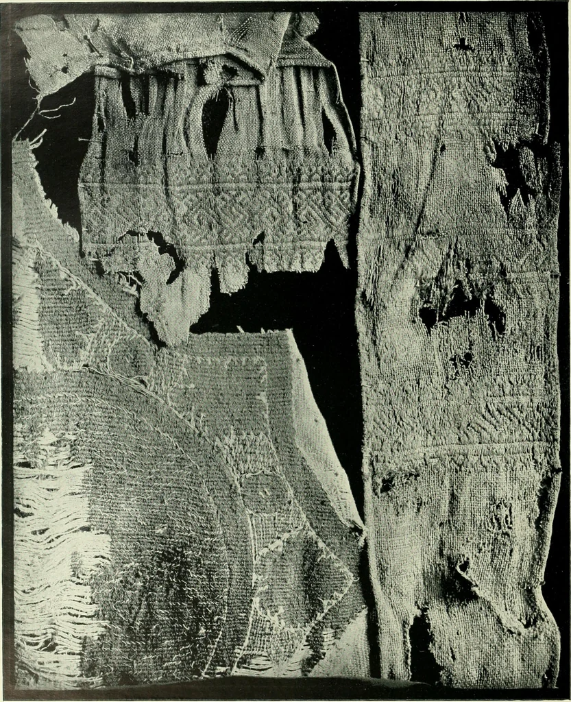 An illustration from Seven centuries of lace, 1908, leaf 81
