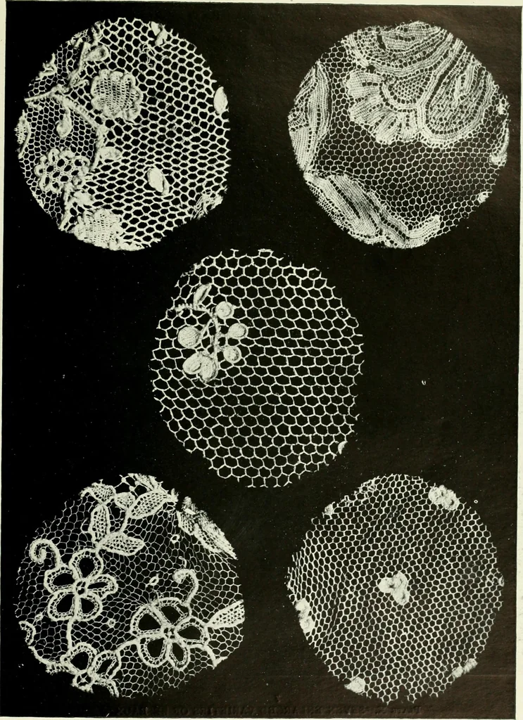 An illustration from Seven centuries of lace, 1908, leaf 86