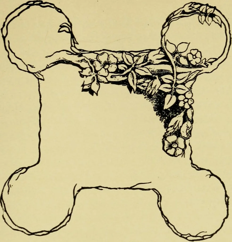 An illustration from The seven lamps of architecture : lectures on architecture and painting : the study of architecture, 1900, leaf 304
