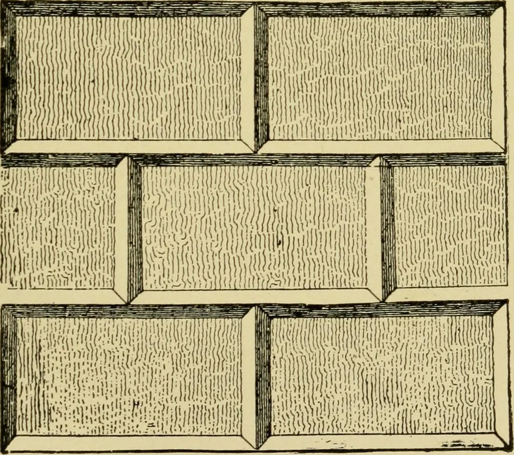 An illustration from The seven lamps of architecture : lectures on architecture and painting : the study of architecture, 1900, leaf 304