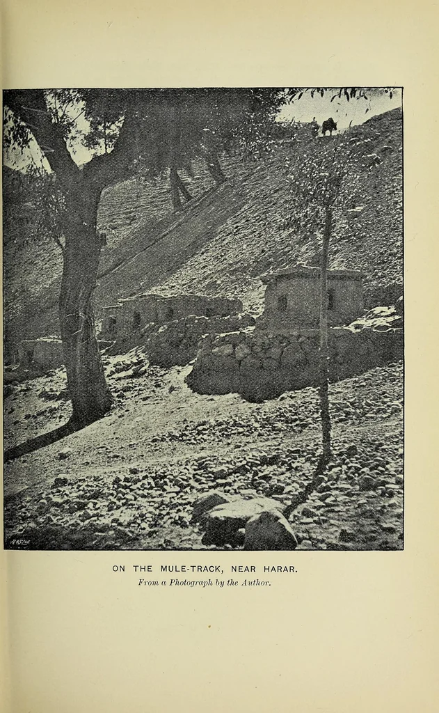 An illustration from Seventeen trips through Somaliland and a visit to Abyssinia : with supplementary preface on the 'Mad Mullah' risings, 1903, leaf 155