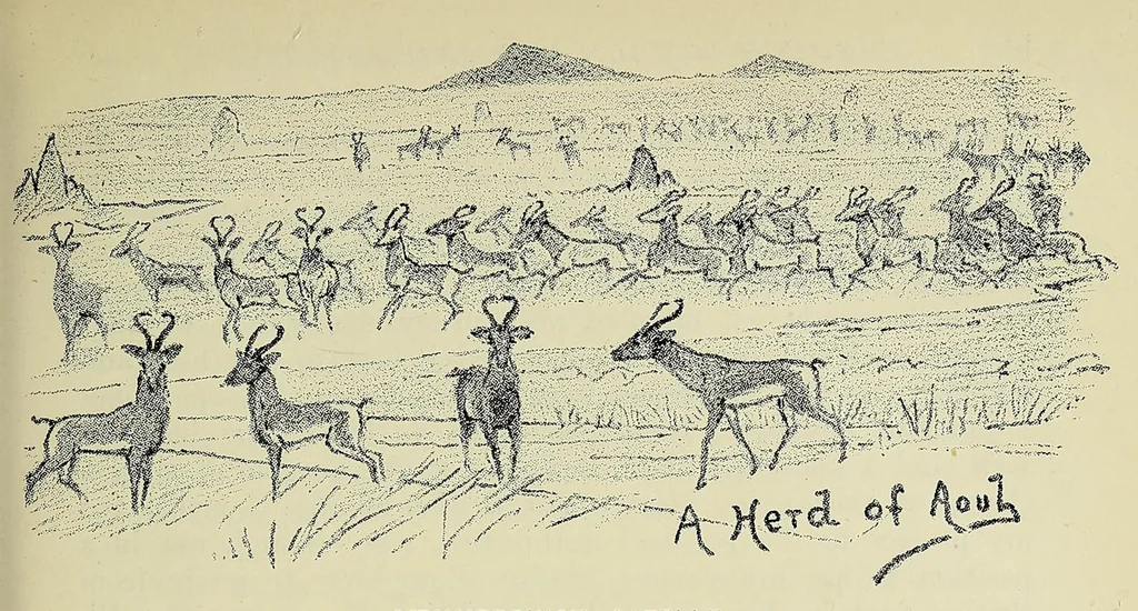 An illustration from Seventeen trips through Somaliland and a visit to Abyssinia : with supplementary preface on the 'Mad Mullah' risings, 1903, leaf 191